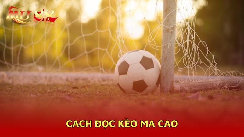 Cách đọc kèo Macau 