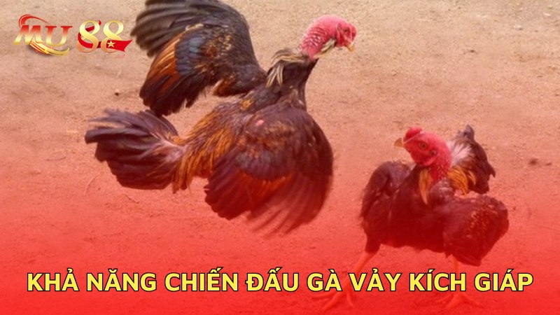 Khả năng chiến đấu chiến kê vảy kích giáp