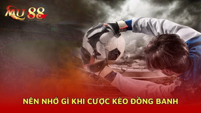 Nên nhớ gì khi cược đồng banh?